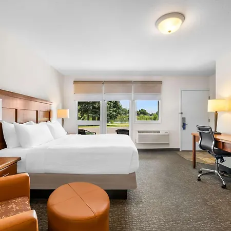 Best Western Driftwood Inn-3