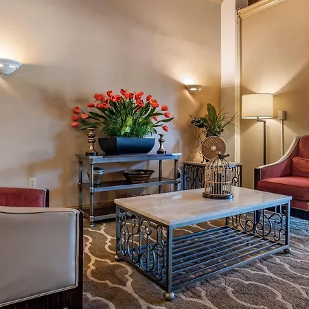 Comfort Inn Amite City-2