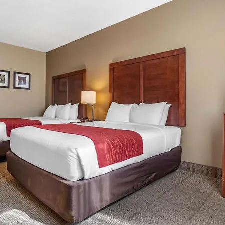 Comfort Inn Amite City-3