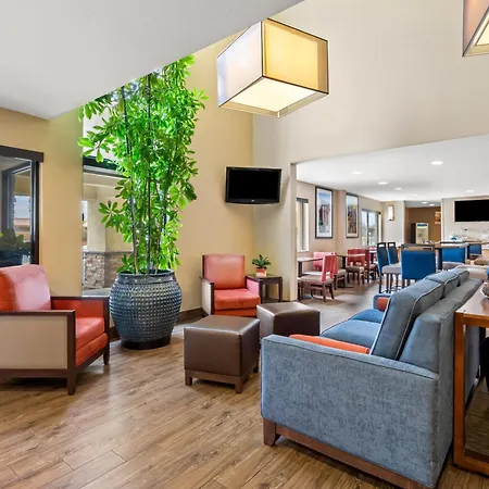 Comfort Inn & Suites Albuquerque Downtown-3