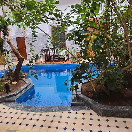 Riad Raffaa-3