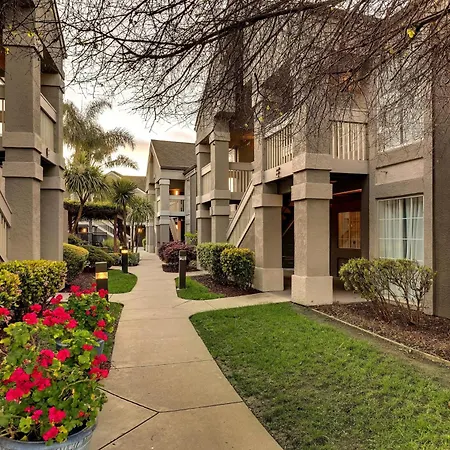Sonesta Es Suites San Jose - Airport-3