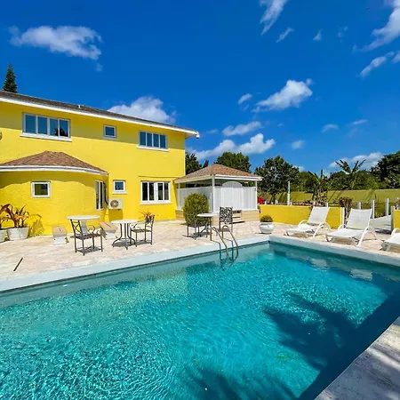 Golden Palms House-3