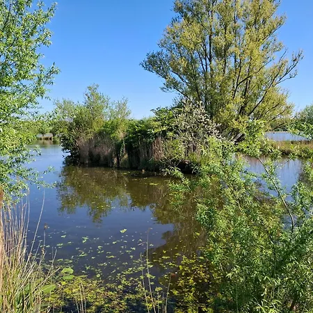 Sweetlake-2