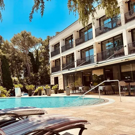 Hotel Arupinum-2