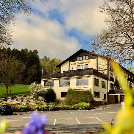 Hotel Gassbachtal-2