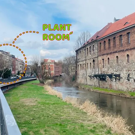 Apartmenthaus am Dom - Küche, Wifi, TV-3