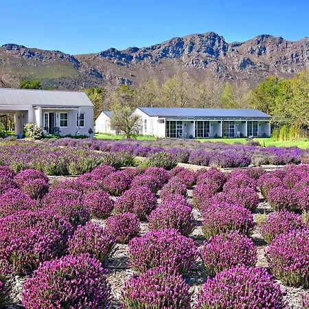 Lavender Farm Boutique Guest House-3