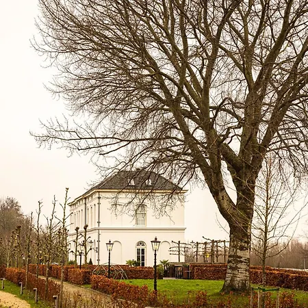 Hotel De Witte Dame-3