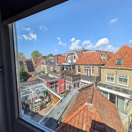 WitteZwaan-2