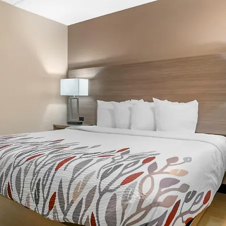 Red Roof Inn Detroit-Rochester Hills/ Auburn Hills-3