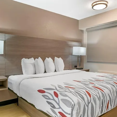 Red Roof Inn Detroit-Rochester Hills/ Auburn Hills-2