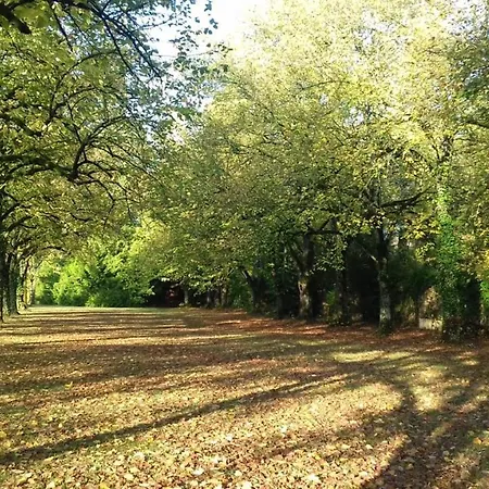 Domaine de Carrière-3