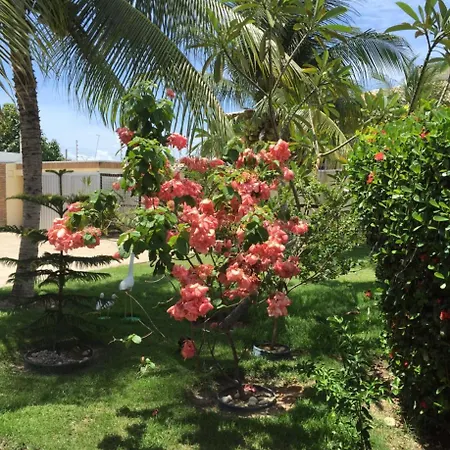 Pousada Villa Joia-3