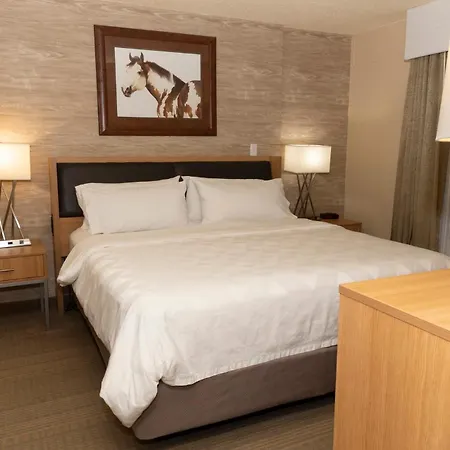 Holiday Inn Spearfish-Convention Center By Ihg-2