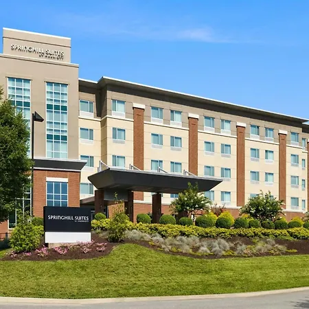 Springhill Suites By Marriott Roanoke-2