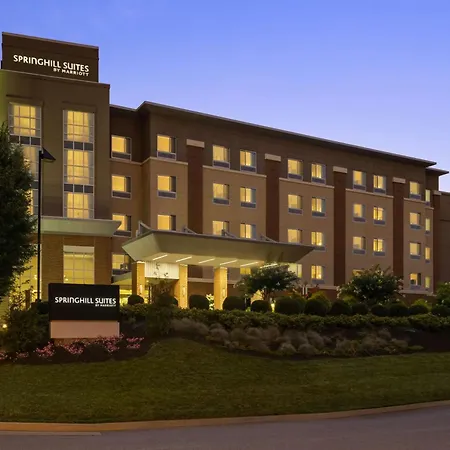 Springhill Suites By Marriott Roanoke-3