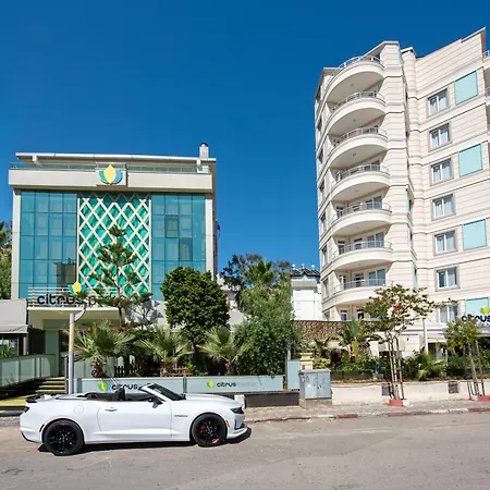 Citrus Luna Suite Hotel-3