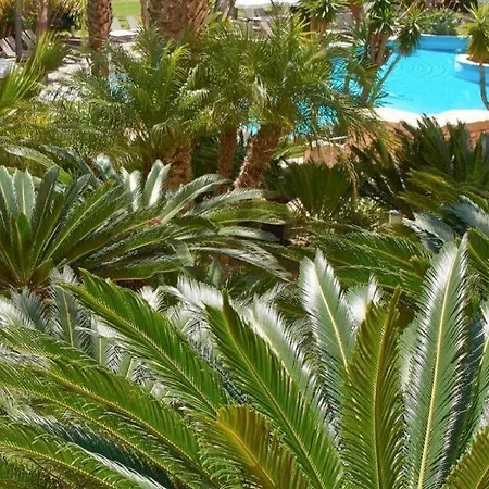 Ria Park Hotel & Spa-2