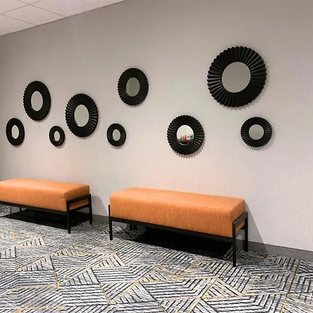 Homewood Suites By Hilton New Orleans-3