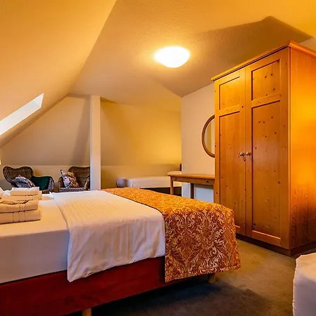 Apparthotel Bad Schandau By Steiger Hotels-3