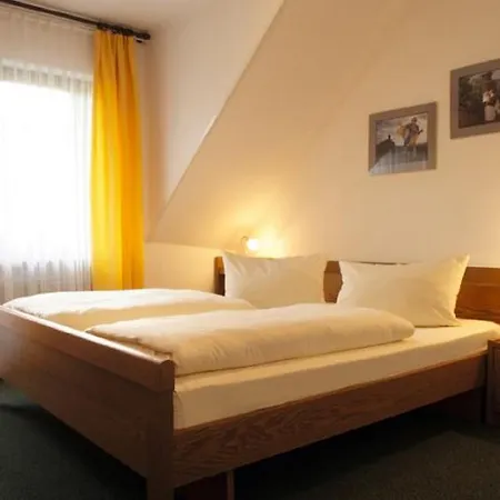 Moselstern Hotel Zum guten Onkel-2