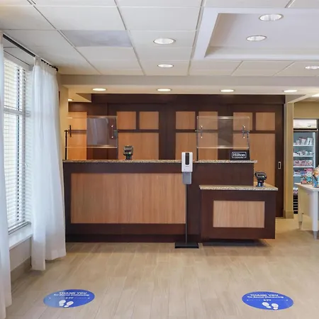 Homewood Suites By Hilton St. Petersburg Clearwater-3