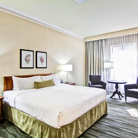 Delta Hotels By Marriott Toronto East-3