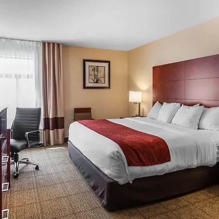 Comfort Inn & Suites Near Fallon Naval Air Station-3