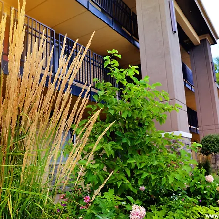 Centerstone Plaza Hotel Soldiers Field - Mayo Clinic Area-2