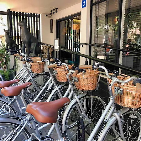 Center Chic Hotel - An Atlas Boutique Hotel-2