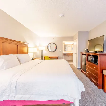 Hampton Inn Gainesville-3