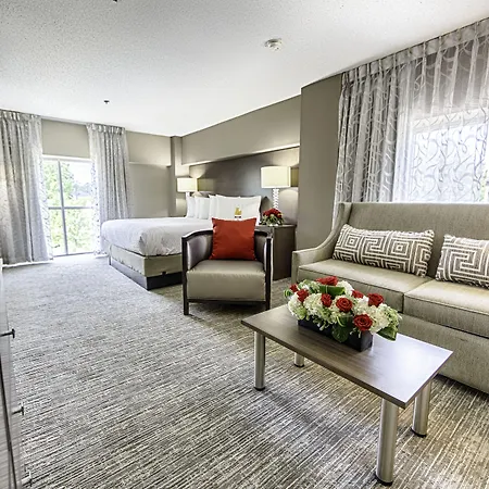 Hotel Capstone-3