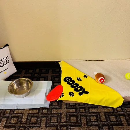 Best Western Swiss Clock Inn-2