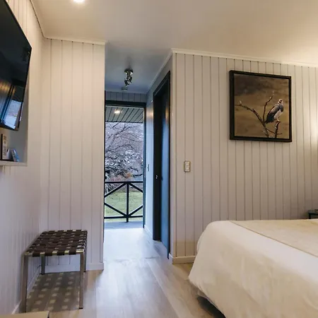 Hotel Lago Grey-2