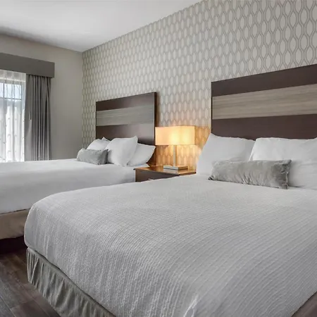 Best Western Plus Saint Peter-2