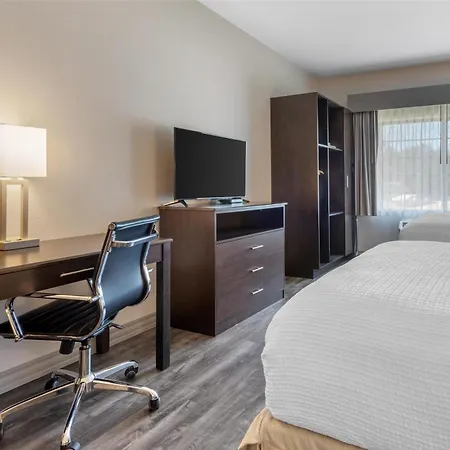 Best Western Plus Saint Peter-3