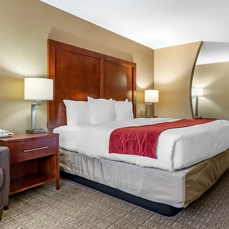 Comfort Inn & Suites Leeds I-20-2