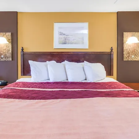 Rodeway Inn & Suites Saginaw I-675-2