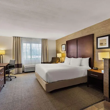 Comfort Inn & Suites Ludington Near Us-10-2