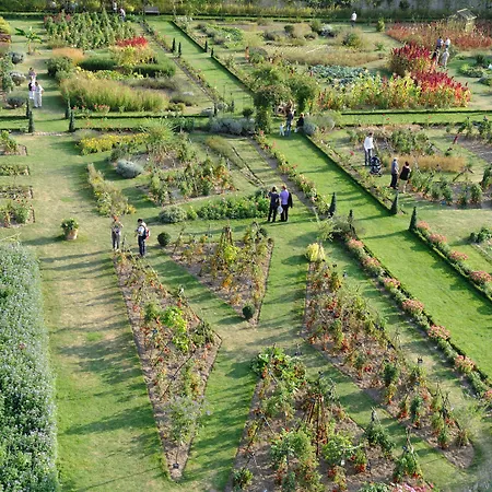 Château De La Bourdaisière-2