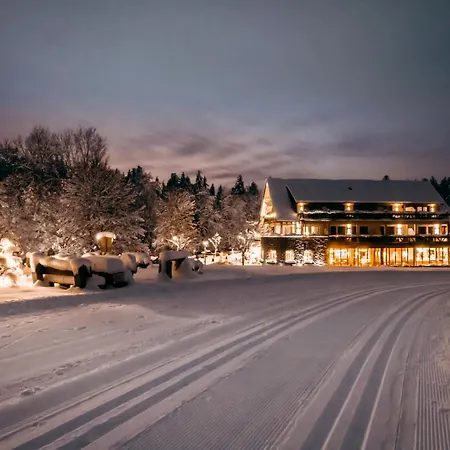 Hotel Grüner Wald-2