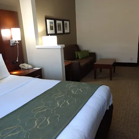 Comfort Suites Johnson City Near University-3