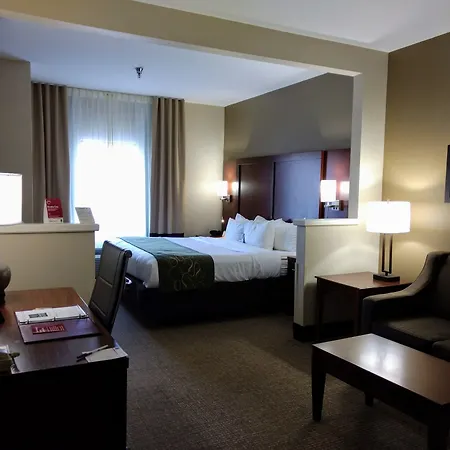 Comfort Suites Johnson City Near University-2