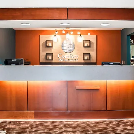 Comfort Inn & Suites Hamburg - Buffalo South-2