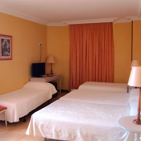 Hotel San Camilo-3