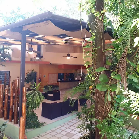 Hotel Maya Tulipanes Palenque-3