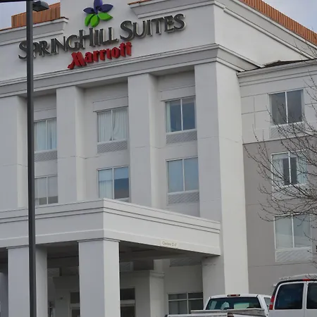 Springhill Suites Pittsburgh Monroeville-3