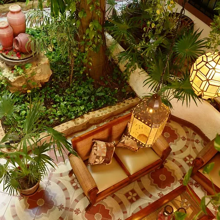Posada Mariposa Boutique Hotel - 5Th Avenue-3