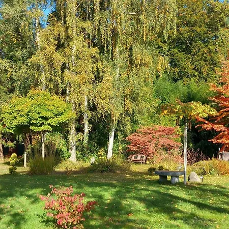 Ostsee-Pension An der Lindenallee-2